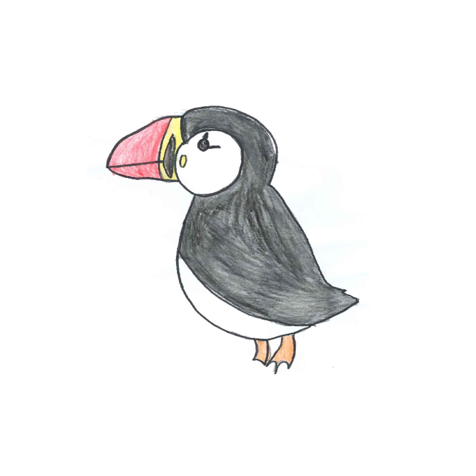 PUFFINS